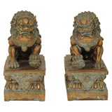 Pair Chinese Foo Dogs