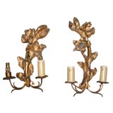 Pair of Giltwood Flower Sconces