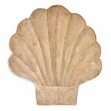 Large Carved Wooden Shell