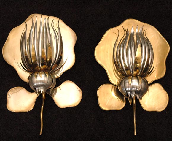 A Wonderful Pair of Lotus Flower Wall Sconces
