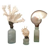 Three Old Bottles with Shell and Coral Tops