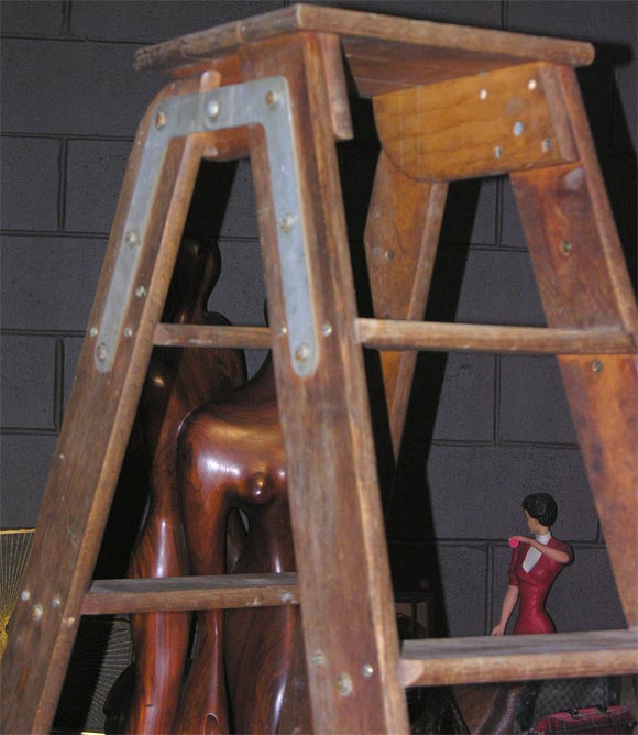 Wooden Electrician's Ladder 1