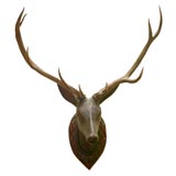 Beautiful Carved Austrian Deer Head Trophy