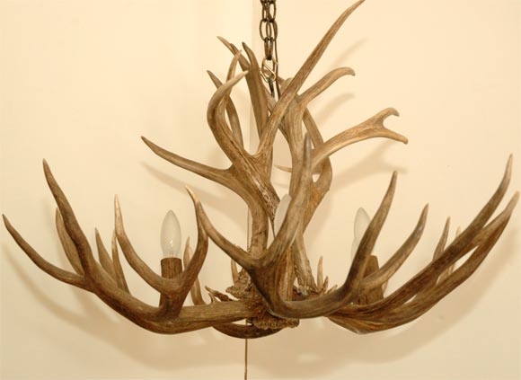 Six arm 5 Point Stag Chandelier, Horn Candles