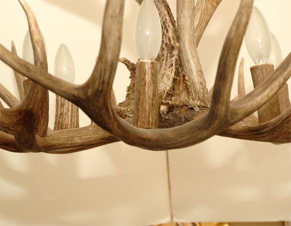 20th Century 5 Point Stag Horn Chandelier