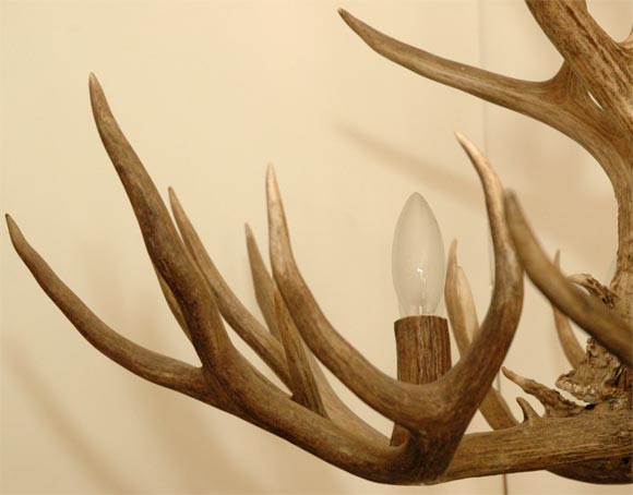5 Point Stag Horn Chandelier 1