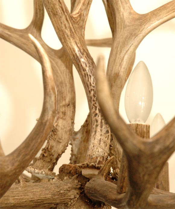 5 Point Stag Horn Chandelier 2