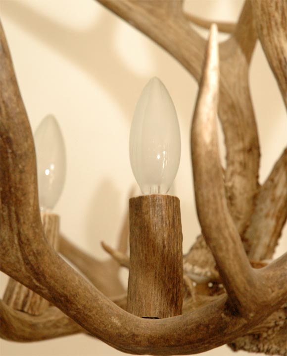 5 Point Stag Horn Chandelier 3