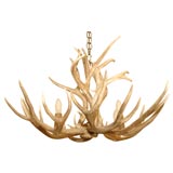 5 Point Stag Horn Chandelier