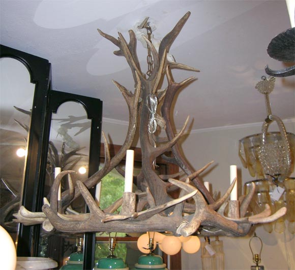 Antler Chandelier