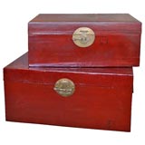 Chinese trunk