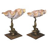 #3347 Pair of Decorative Shells on Brass Dolphin Bases