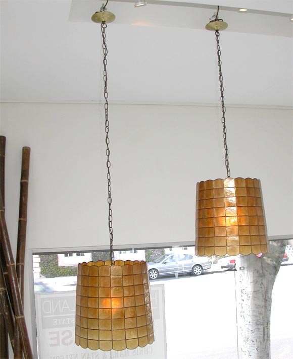 Pair of Capize Shell Lamps
