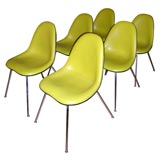 Set of six yellow padded chairs, with white backs