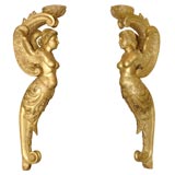 Pair of Gilt Caryatids