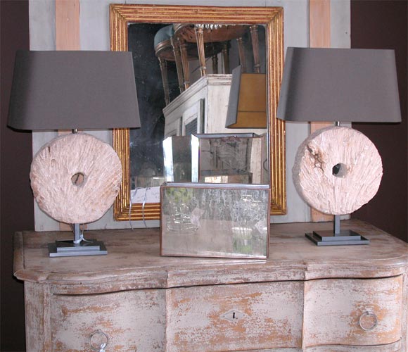 Coral Lamps