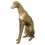 Handsome Male Brass Whippet
