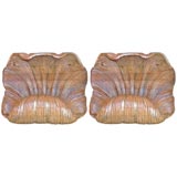 Pair of Carved Wood Shells