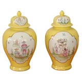 A Pair of Handpainted Chinese Ginger Jars