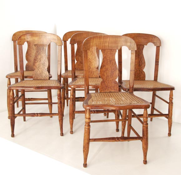 19THC SET OF SIX TIGER MAPLE CHAIRS