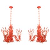 Coral Iron Chandelier (only one remaining)