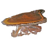 Elm root table