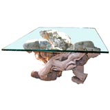 Natural Root Glass Top Table