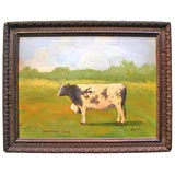 Antique Shorthorn Steer Oil Painting