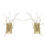 Urban Forest Sconce in Gold Guilding