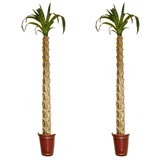 Vintage Pair Tole Palm Trees