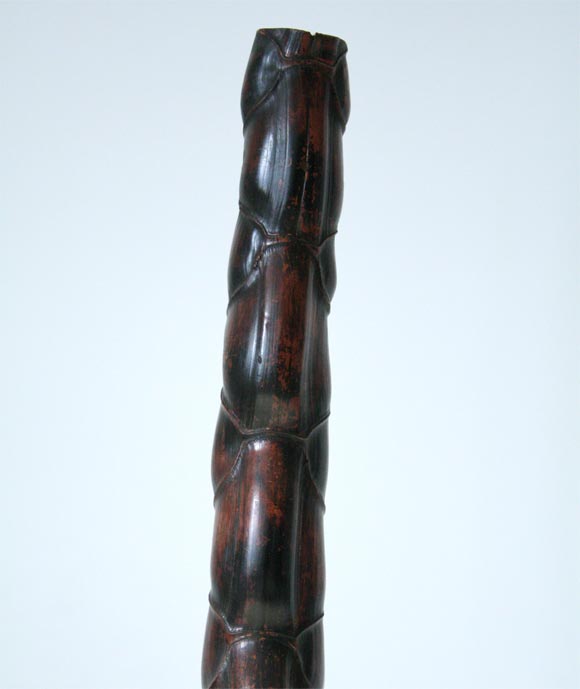19th Century Chinese Buddha Belly Bamboo Pipes