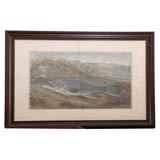 Antique Five S. A. Kilbourne Chromolithographs of Game Fish