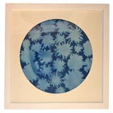 Mark Wilson Cyanotype Mark Wilson Cyanotype