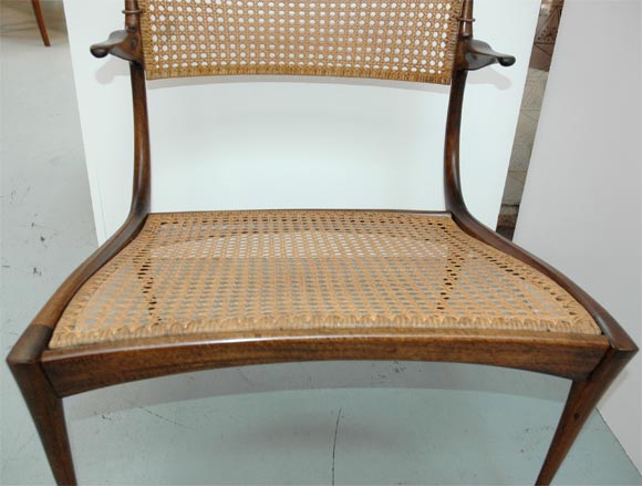 Walnut Rare 
