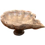 Shell Bowl