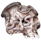 Rare Japanese Bisque Hiradoware Model of a Skull with Snake