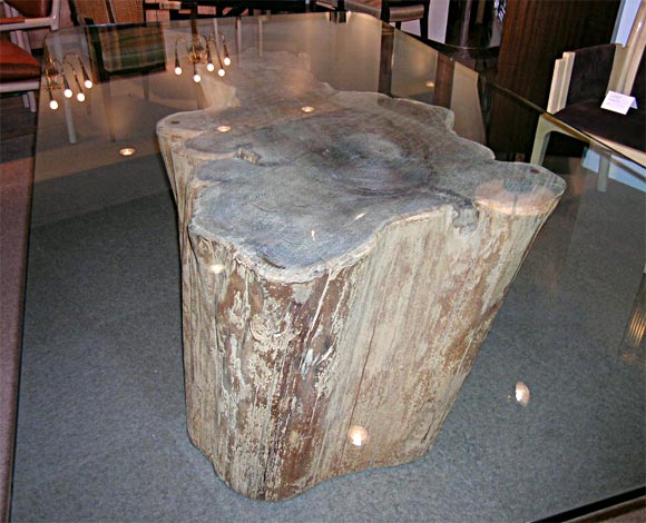Dining Table with Tree Trunk Base by Michael Taylor In Excellent Condition In New York, NY