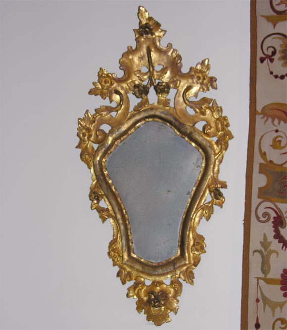 Pair of Italian 19th Century Giltwood Mirrors