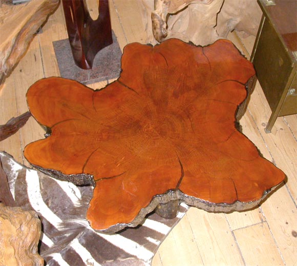 Lacquered Natural Tree Table at 1stDibs