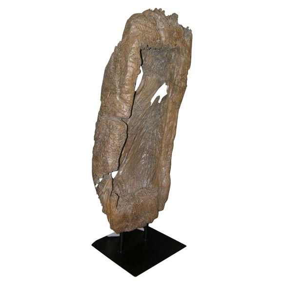 Natural Wood Sculpture main image 0