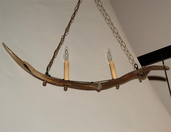 Deer Horn Hanging Light Fixture