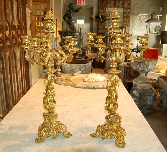 Pair of Candlelabras