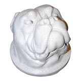 Plaster Head of a Bulldog