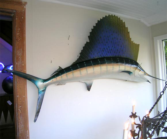 Mounted Fish Trophy