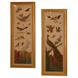 Pair of Large Panels of Brightly Colored Silk Birds Pair of Large Panels of Brightly Colored Silk Birds