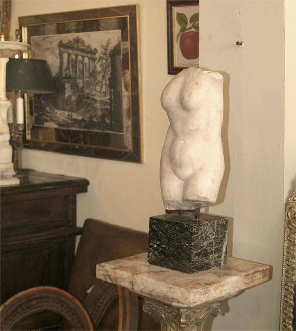 Italian Marble Torso