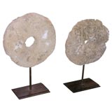 fossilized coral money