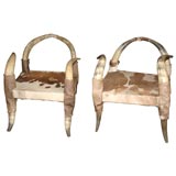 Pair of Horn Chairs