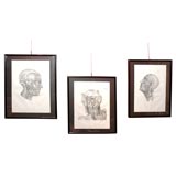 Set of Anatomical plates: details of heads