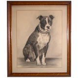 Black & White Drawing of a Dog